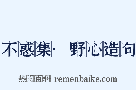 不惑集·野心造句是什么意思的图片
